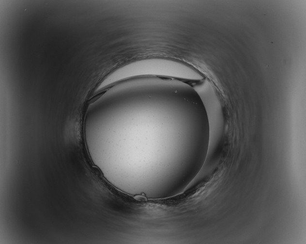 X0000088360393200705291311