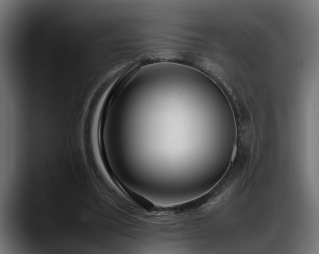 X0000088360395200705291311