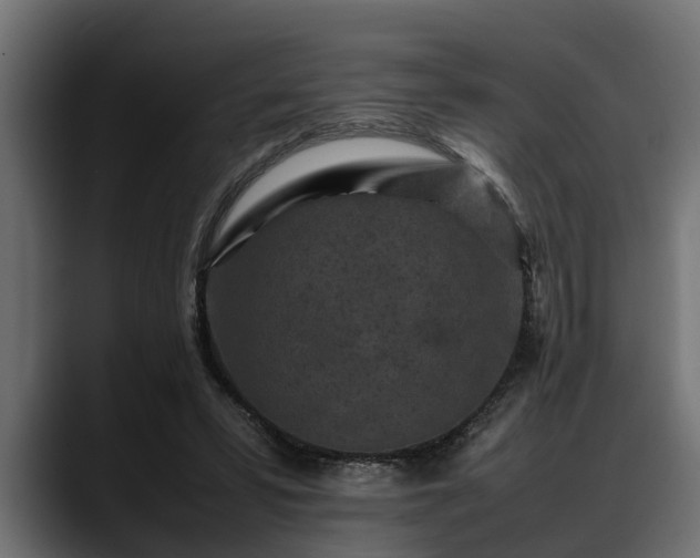 X0000088360399200705291311