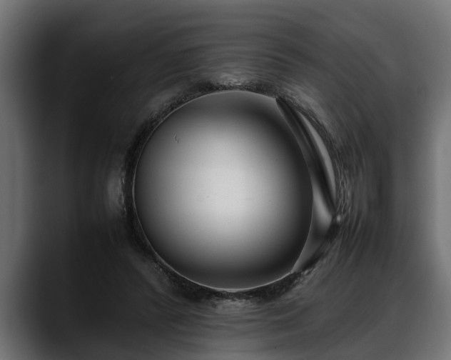 X0000088360400200705291311