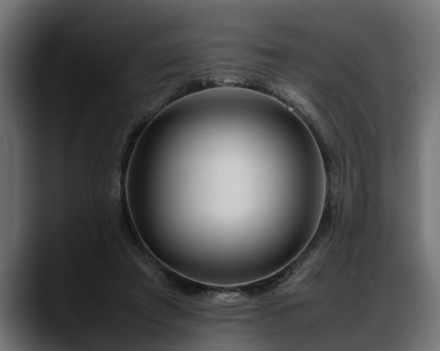 X0000088360401200705291311