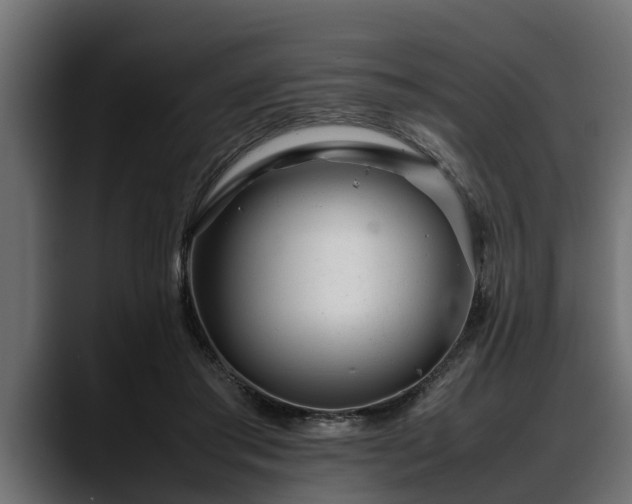 X0000088360405200705291311