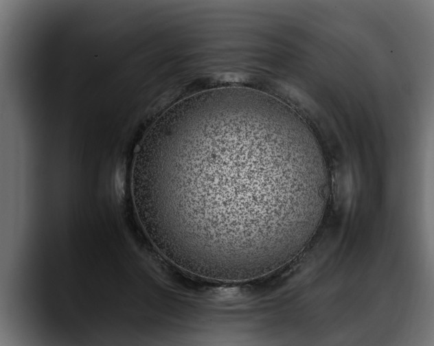 X0000088360406200705291311