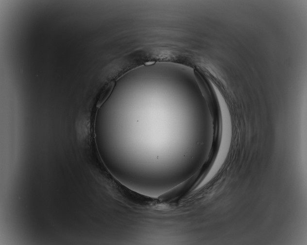 X0000088360407200705291311