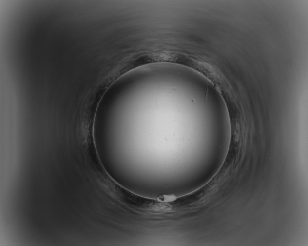 X0000088360409200705291311