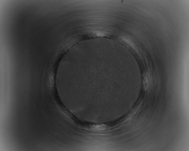 X0000088360410200705291311