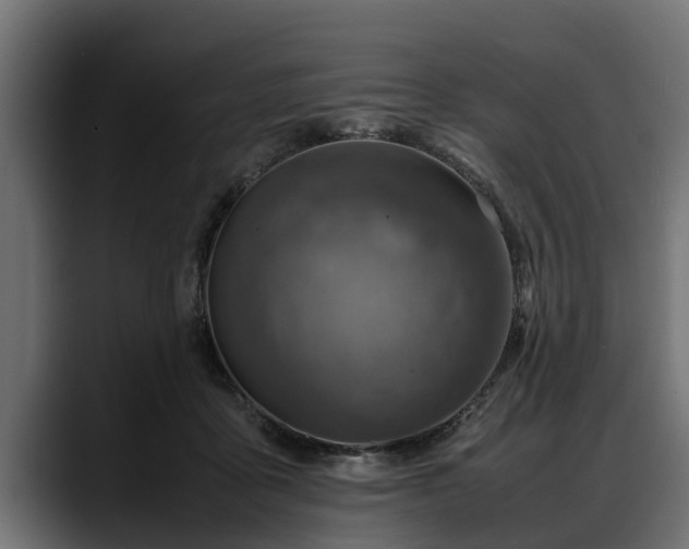 X0000088360411200705291311