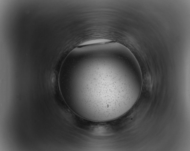 X0000088360412200705291311