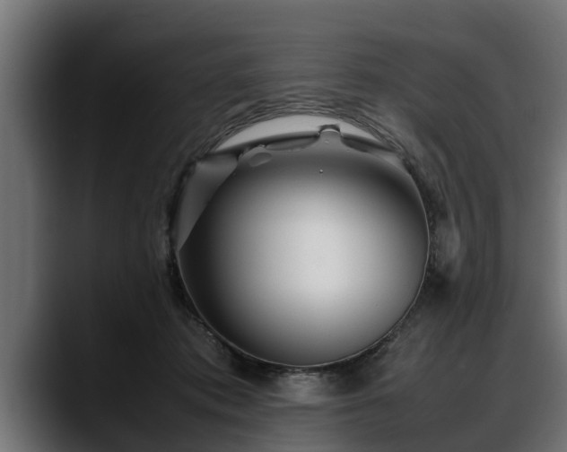 X0000088360413200705291311