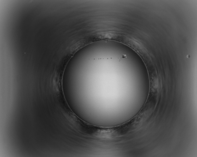 X0000088360414200705291311