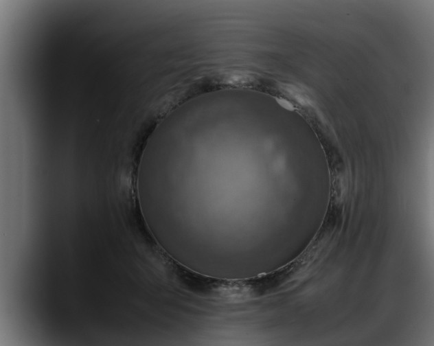 X0000088360415200705291311