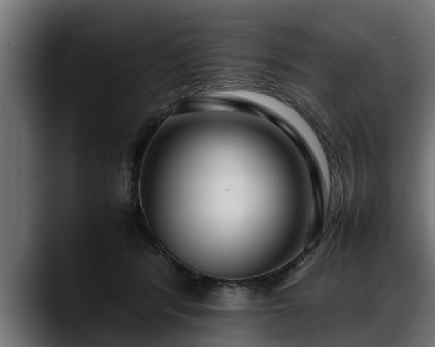 X0000088360416200705291311