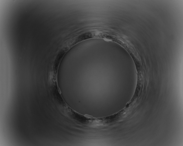 X0000088360419200705291311