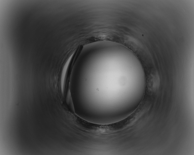 X0000088360420200705291311