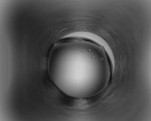 X0000088360421200705291311