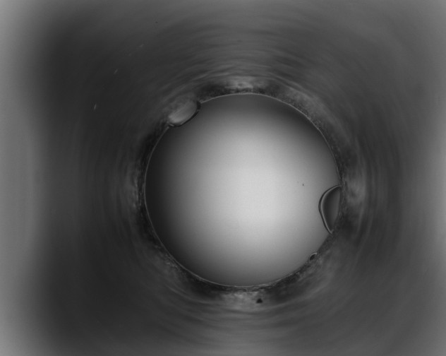 X0000088360422200705291311