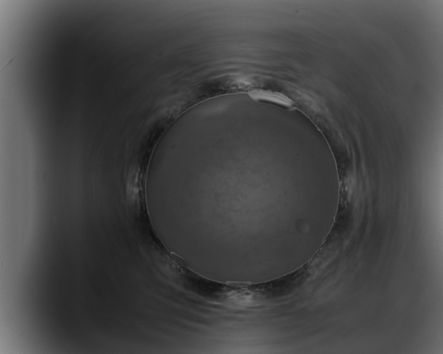 X0000088360423200705291311