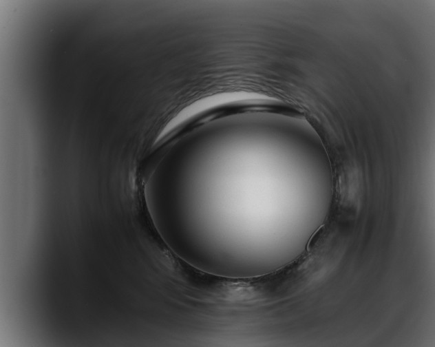 X0000088360424200705291311