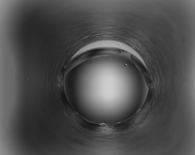 X0000088360425200705291311