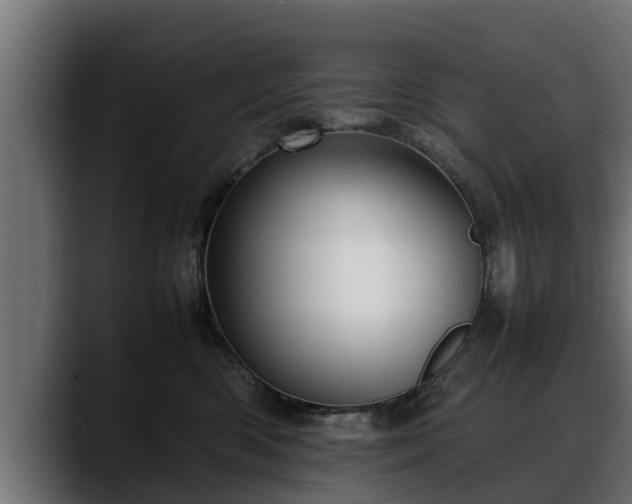 X0000088360426200705291311