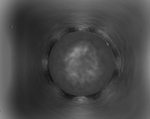 X0000088360427200705291311