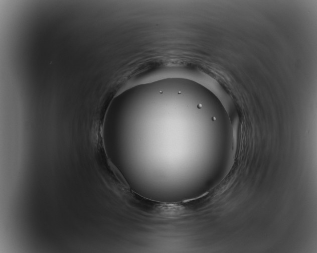 X0000088360429200705291311