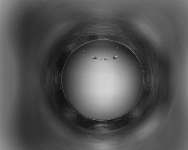 X0000088360430200705291311