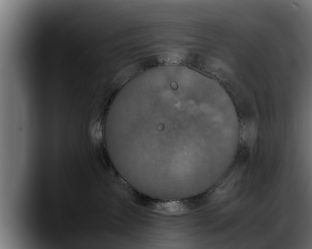 X0000088360431200705291311