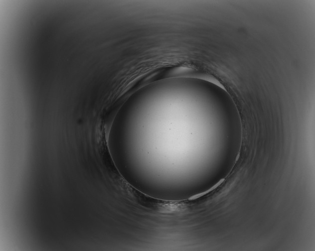 X0000088360432200705291311