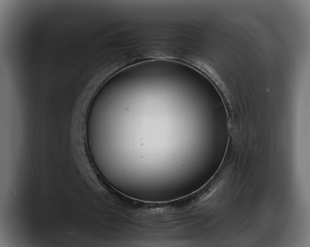 X0000088360433200705291310