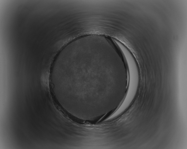 X0000088360434200705291310