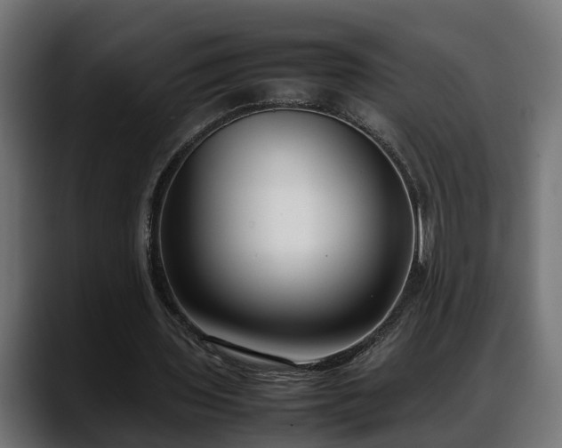 X0000088360435200705291310