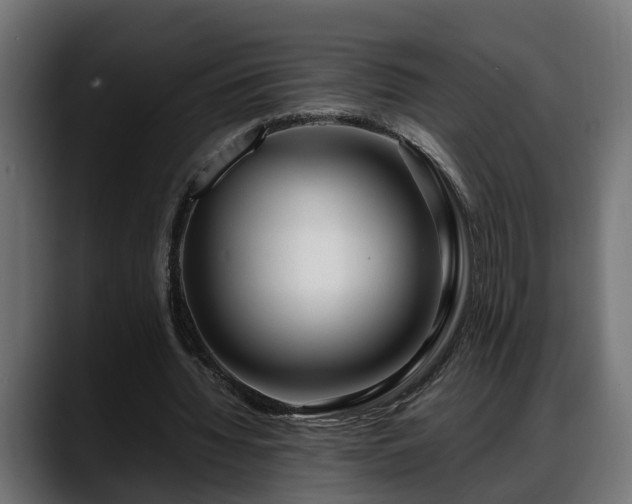 X0000088360436200705291310