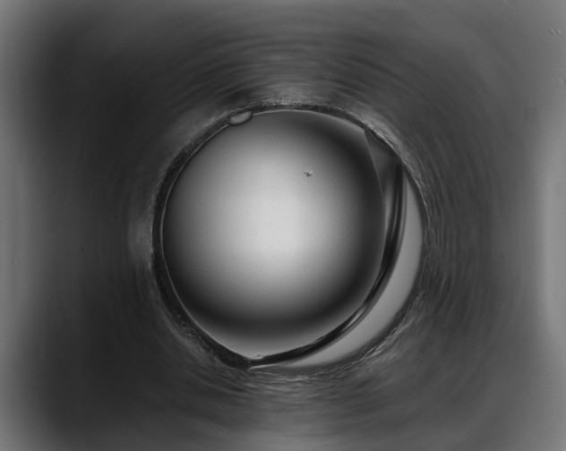 X0000088360438200705291310