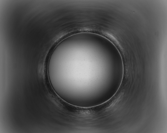 X0000088360439200705291310