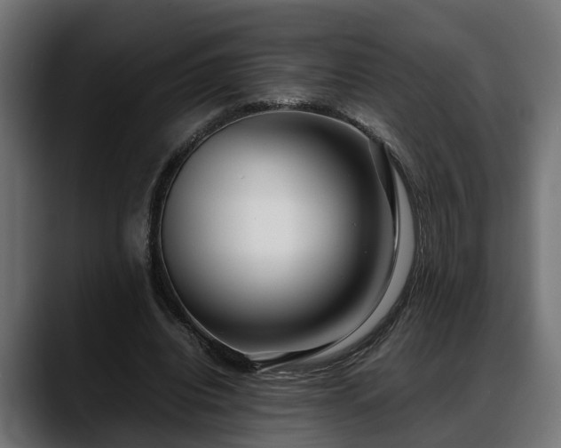 X0000088360440200705291310