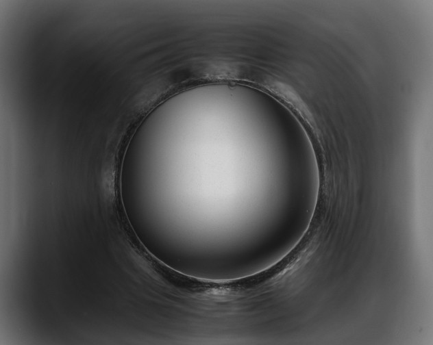 X0000088360441200705291310