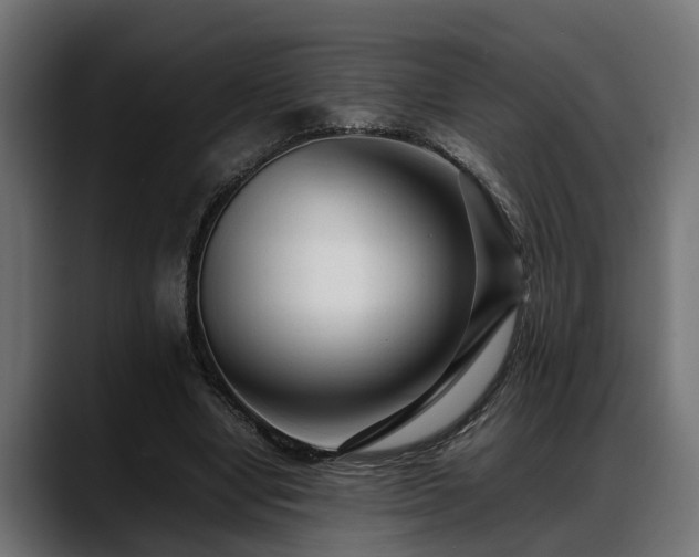 X0000088360442200705291310