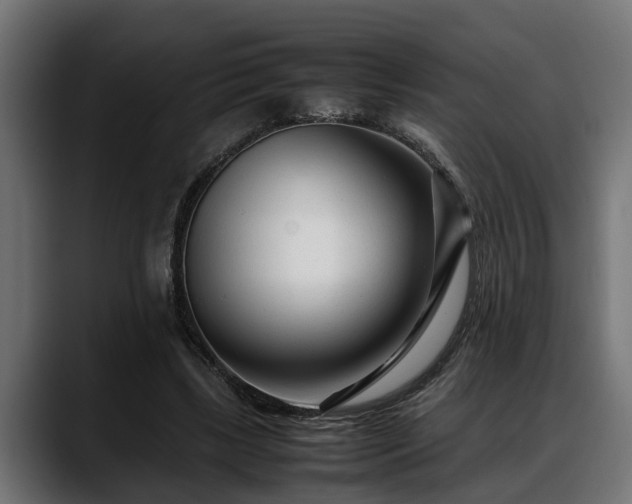 X0000088360443200705291310