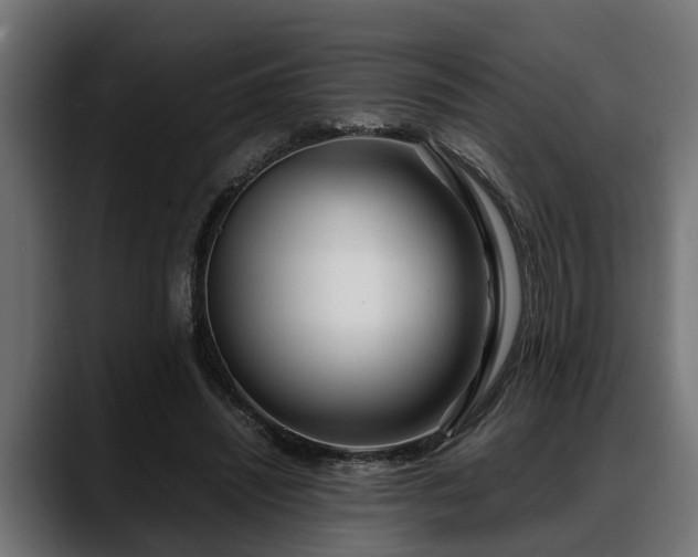 X0000088360444200705291310