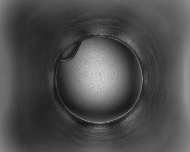 X0000088360445200705291310