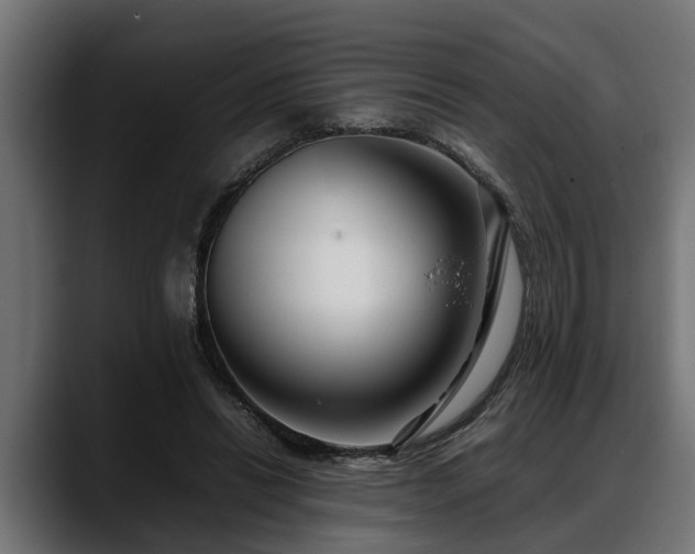 X0000088360446200705291310