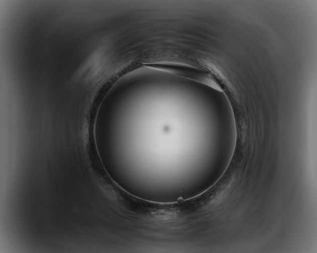 X0000088360447200705291310