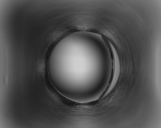 X0000088360448200705291310