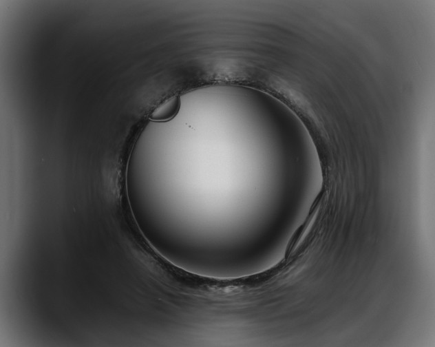 X0000088360450200705291311