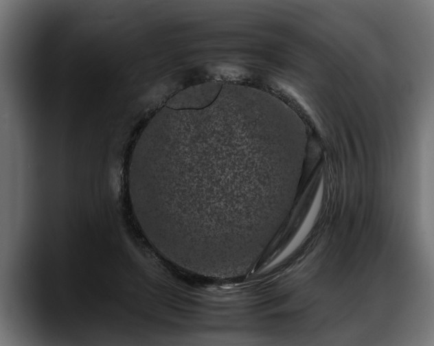 X0000088360451200705291311