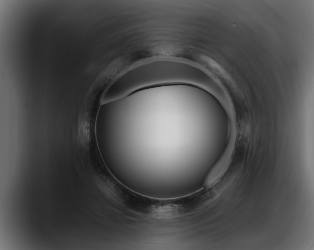 X0000088360452200705291311