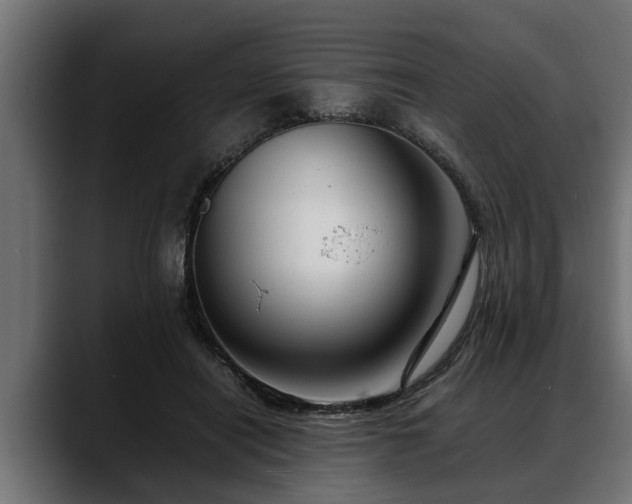 X0000088360454200705291311