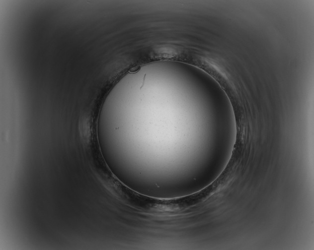 X0000088360455200705291311