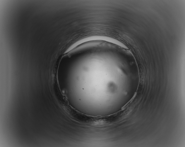 X0000088360456200705291311